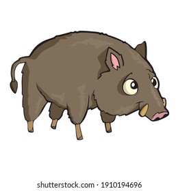 Hog Friendly Cute forest animal Cartoon. Vector illustration