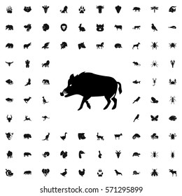 hog icon illustration isolated vector sign symbol