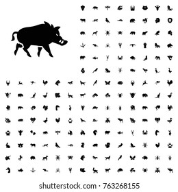 Hog icon illustration isolated vector sign symbol. animals icon set for web and mobile.
