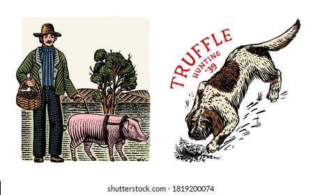 Hog and Lagotto Romagnolo dog for locating truffles mushrooms. Domestic pig . Engraved hand drawn vintage sketch. Woodcut style. Vector illustration.