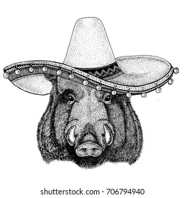 Hog, pig, wild boar, aper, boar wearing sombero Vector illustration Old classic vintage style illustration for t-shirt, poster, banner, embem, badge, tattoo, zoo
