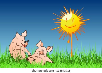 The Hog Summer