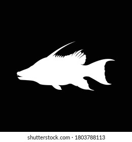 Hogfish Logo template, great for Hogfish fishing activity. 
