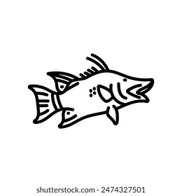 Hogfish Outline Icon, Vector illustration