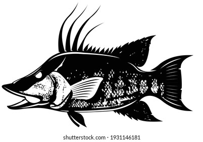 HogFish Vector template. Great to use as your Hogfish fishing Activity. 