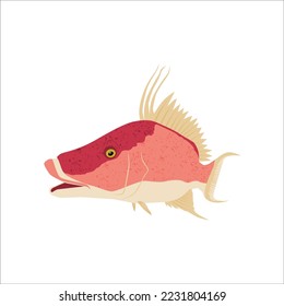 HogFish Vector template. Great to use as your Hogfish fishing Activity.