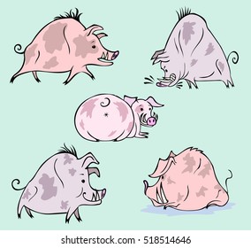 hogs and boars