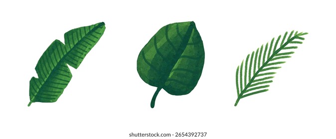 Hojas Vector sobre fondo blanco