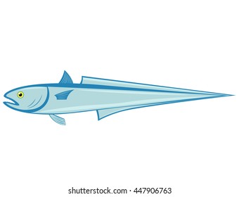 hoki fish on a white background