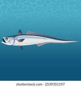 The Hoki Fish Vector Image