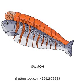 Hokkaido sockeye salmon line drawing illustration