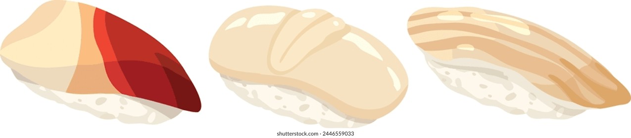 Hokkigai , Hotate , Mirugai nigiri. Surf clam , scallop, giant clam sushi. Sushi illustration vectors.