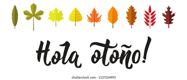 Hola otono Lettering. Spanish translation: Hello autumn. calligraphy vector illustration. element for flyers, banner and posters. Modern calligraphy.