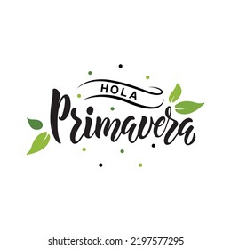 Hola Primavera (Hello Spring) handwritten text in Spanish or Brazilian Portuguese isolated on white background. Trendy script lettering design. Modern brush calligraphy. Vector illustration