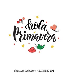 Hola Primavera (Hello Spring) handwritten text in Spanish or Brazilian Portuguese isolated on white background. Trendy script lettering design. Modern brush calligraphy. Vector illustration