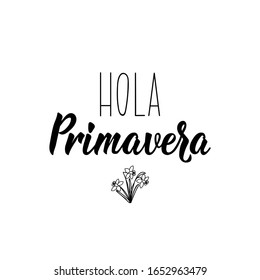 Hola primavera. Lettering. Translation from Spanish - Hello spring. Element for flyers, banner and posters. Modern calligraphy