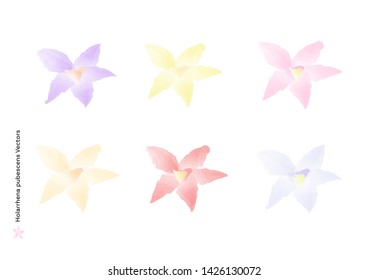 Holarrhena pubescens flowers vectors with watercolor brush isolated on white background, beautiful floral element design for decoration