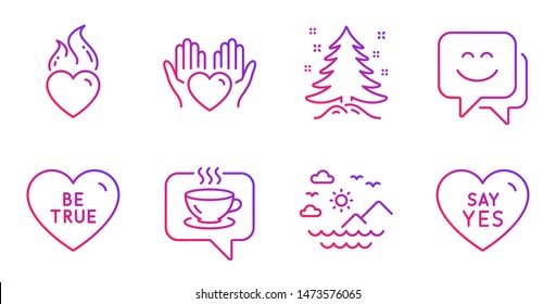 Hold heart, Heart flame and Smile face line icons set. Christmas tree, Sea mountains and Coffee signs. Be true, Say yes symbols. Care love, Love fire. Holidays set. Gradient hold heart icon. Vector