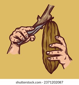 Holding Fresh Cocoa Fruit Illustration With Vintage Style 