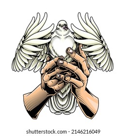 Holding peace. Vector illustration of human hands holding white flying pigeon in engraving technique isolated on white. 