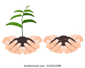 holding a tree on a white background.
