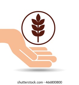 holding a wheat spike, fresh bakery products, vector illustration