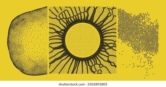 A hole created from small particles striving from the center. An abstract cell represented as an object made of points. An array with dynamic particles. Scientific and technical background. Vector.