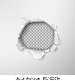 Hole in empty paper sheet. Rough torn paper edges. Vector illustration on transparent background