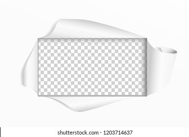 Hole in paper. Cut square frame. Frame with different curved edges of paper. Design element  poster, banner, invitation, booklet.  Vector