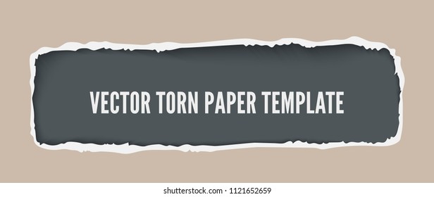 Hole ripped in paper background with space for text, realistic vector illustration
