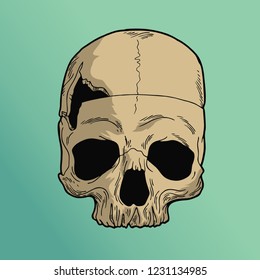 hole skull vector