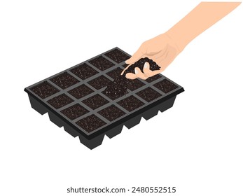 Hole tray for planting tree seedlings.