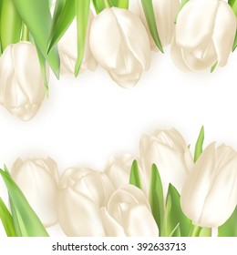 Holiday background with bouquet of white tulips. EPS 10 vector file included