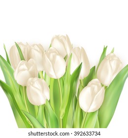 Holiday background with bouquet of white tulips. EPS 10 vector file included