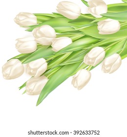Holiday background with bouquet of white tulips. EPS 10 vector file included