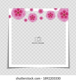 Holiday Background Photo Frame Template. Sarura, plum flower background for post in Social Network. Vector Illustration