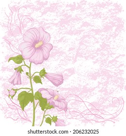 Holiday background with pink flower mallow and abstract pattern. Vector