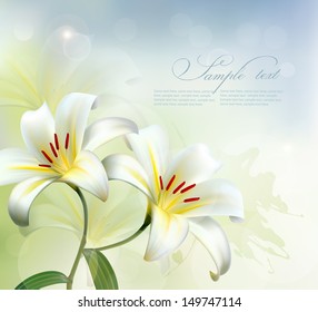 Holiday background with two white lilies. Vector.