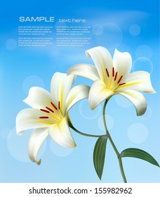 Holiday background with two white lilies. Vector. 