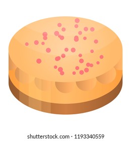Holiday cake icon. Isometric of holiday cake vector icon for web design isolated on white background