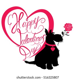 Holiday card. Calligraphic hand written text Happy Valentine`s Day in heart shape and scottish terrier dog silhouette with rose, isolated on white background. 