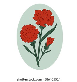 Holiday card flowers red with green carnation on green background. Vector. Victory Day. 9 TH May.