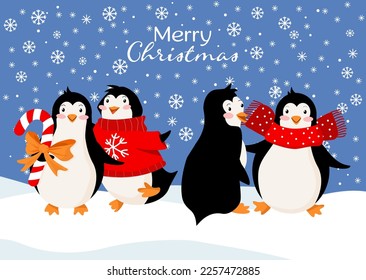 Holiday card with funny penguins in different clothes, snowflakes. Cute winter character wearing a scarf, sweater and holding candy. Winter holidays congratulations concept. Website banner