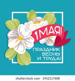 holiday card illustration with apple tree flowers and ribbon for May 1. White spring flowers on a blue background with an inscription. Translation: "May 1. Spring and Labor Day"