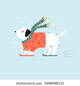 Holiday Christmas card with a funny skiing dog in a knitted sweater and scarf. Greeting card design, hand drawn illustration