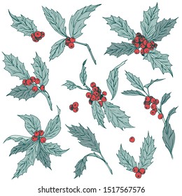 Holiday clip art set with holly Christmas plants hand drawn spruce in sketch style 