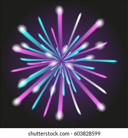 Holiday firework isolated. VECTOR eps 10. 