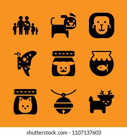 holiday, fishbowl, collar and pile icon set. Vector illustration for web and design.