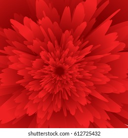 holiday floral background. rose flower. red color. vector illustration. for invitation, print, wallpaper