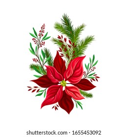 Holiday Floral Composition Arranged From Red Christmas Flower and Fir Tree Twigs Vector Illustration